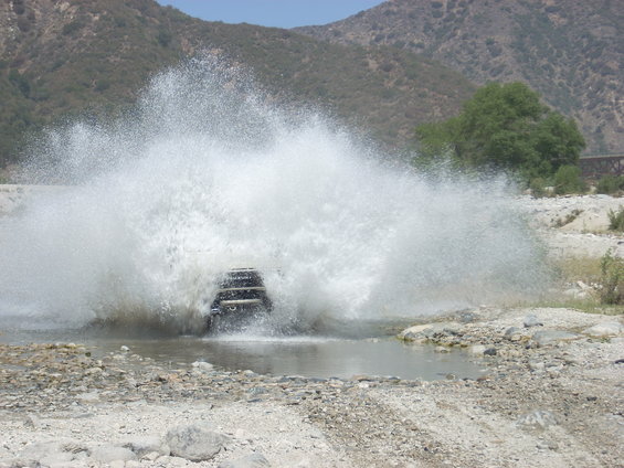sammy-splash.jpg 