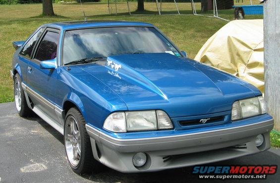 stang2.jpg 