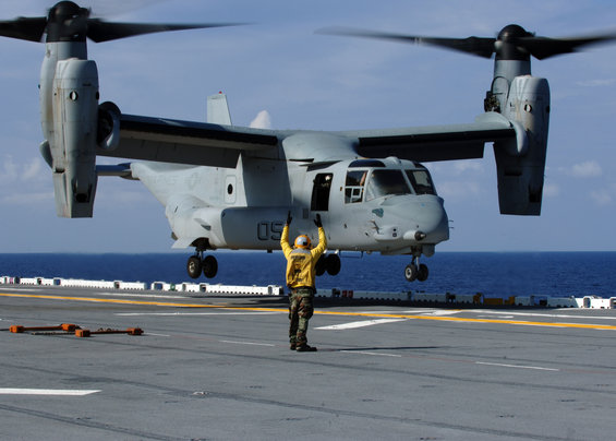 vmm2632.jpg Osprey