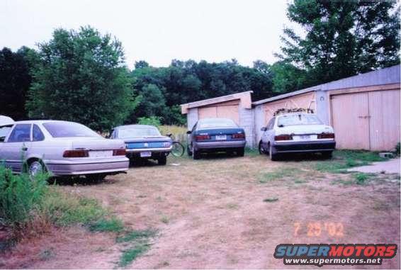 4fords0001.jpg My 89 SHO, my friend's 66 mustang and his 88 taurus, then my 87 taurus