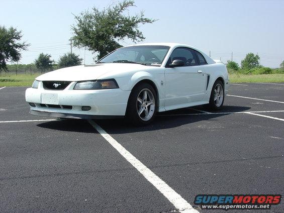 stang-001.jpg 