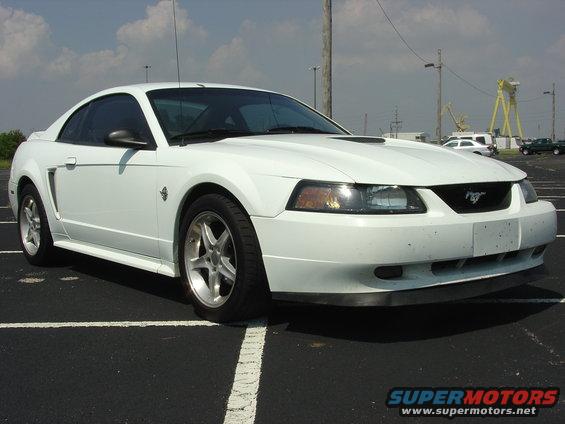 stang-002.jpg 