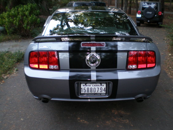 mustang-084.jpg 