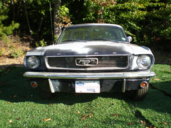 mustang-006.jpg 