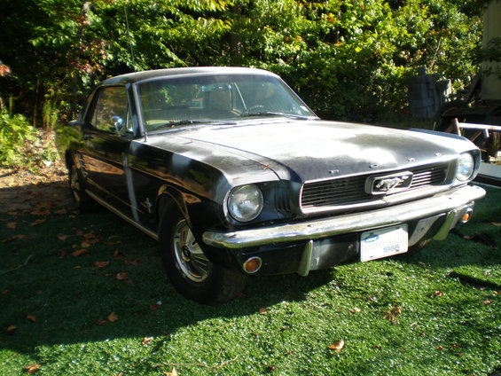 mustang-007.jpg 