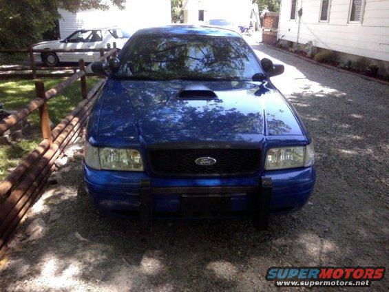 picture-009.jpg Fake hoodscoop