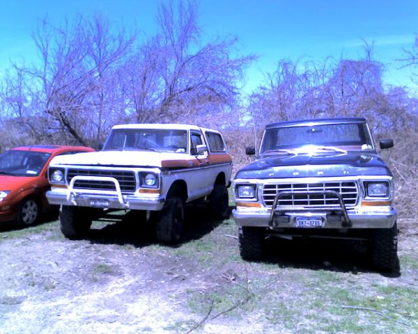 78-bronco-w-79-f250--2k5-focus.jpg 