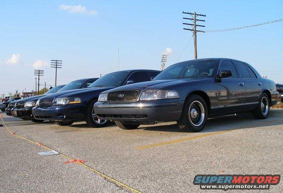 octoberfest-panthers-row.jpg Reserved parking at Seymour's Octoberfest. 