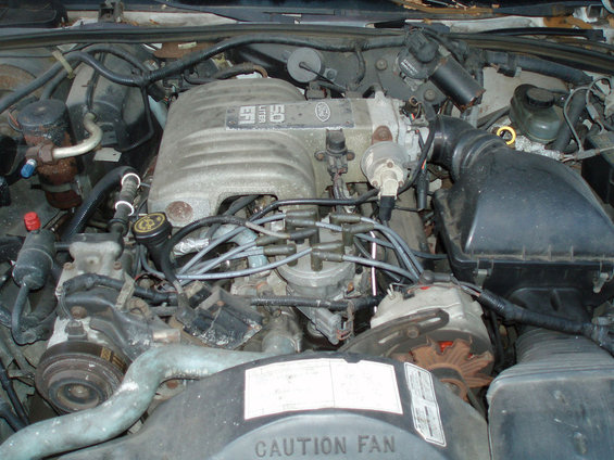 5.0-motor.jpg 