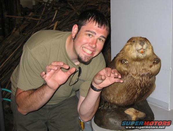 me-and-the-beaver.jpg 