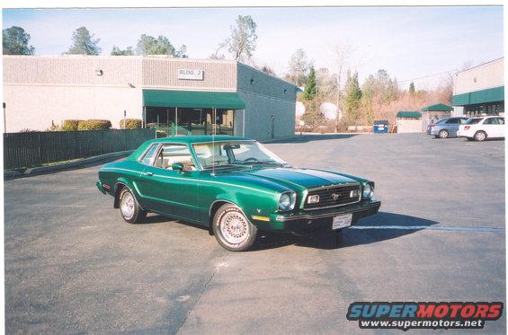 scan.jpg Front of my 77 V8 Mustang with new pin stripe