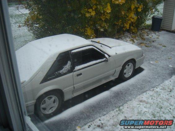 87-gt-first-snow.jpg My winter project, an 87 GT with a few mods. Edelbrock heads, Novi 1000, and other head aches.