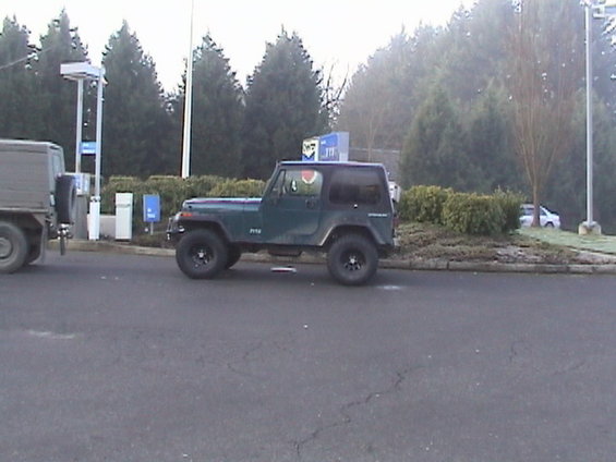 010.jpg MeanGreen95YJ