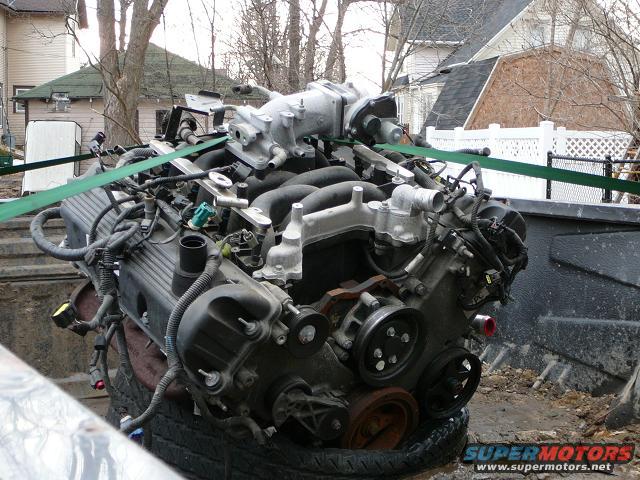 new-engine.jpg 2006 4.6L with 32000 miles.