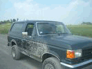 phylissaspics1-096-p-p.gif 