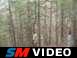 Don is driving the dealership owner's LR3 here, and he crunches the RHR door (out of frame) on that tree.  As he passes the rock in front of the camera, he clips off a chunk of the rim.