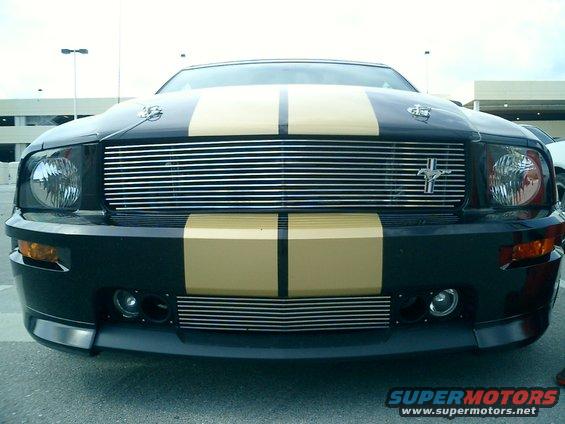 shelby-2-030.jpg 