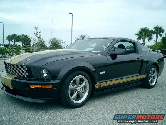 shelby-001.jpg 