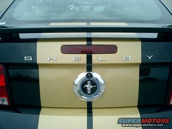 shelby-004.jpg 