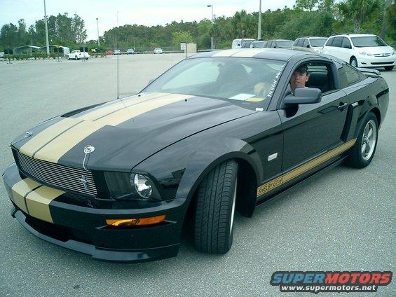 shelby-016.jpg 