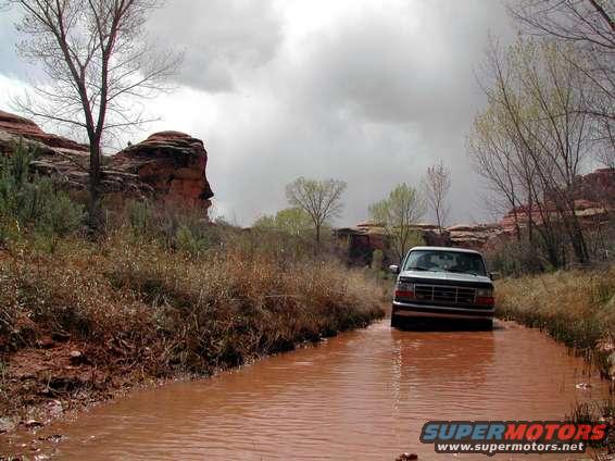 dscn0167.jpg Salt Creek Backcountry Trail in Canyonlands NP - a little water never hurt anyone...