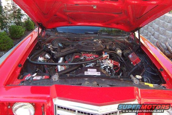 engine-bay.jpg 