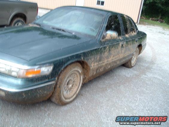 mud-pictures-019.jpg 