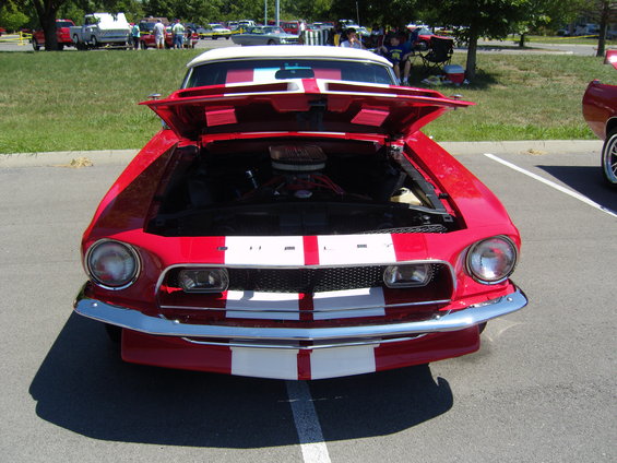 fabulous-fords-show-050.jpg 