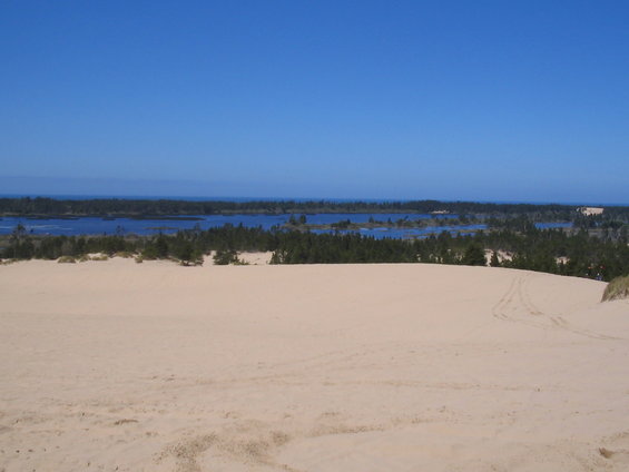 dunefest-2008-001.jpg 