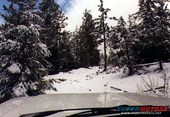 bronco021.jpg This is the photo taken when I was contemplating whether to try the trail or not.  It's difficult to tell, but there are two man-made mounds designed to keep 4x4s off of it. Nothing but a better reason to try, I say.