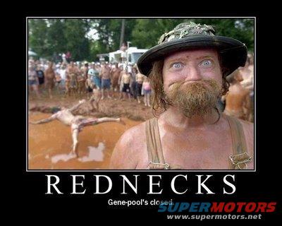 redneck_gene_pool.jpg 