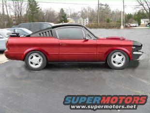 new-stang-fastbacktauru3333333--copy--copy.jpg 