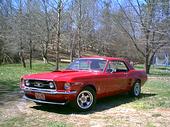 stang.jpg The other car