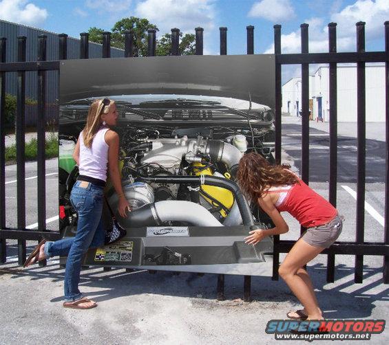 female-fan-engine-bay.jpg 