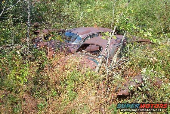 vintage-car-junkyard-50s-cars.jpg 