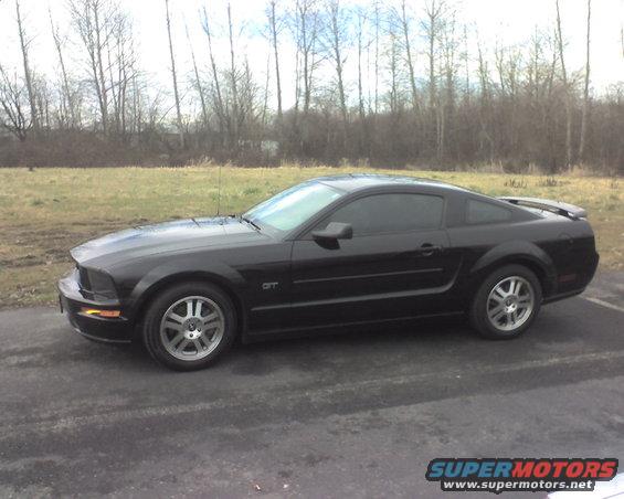 img150.jpg My New Mustang