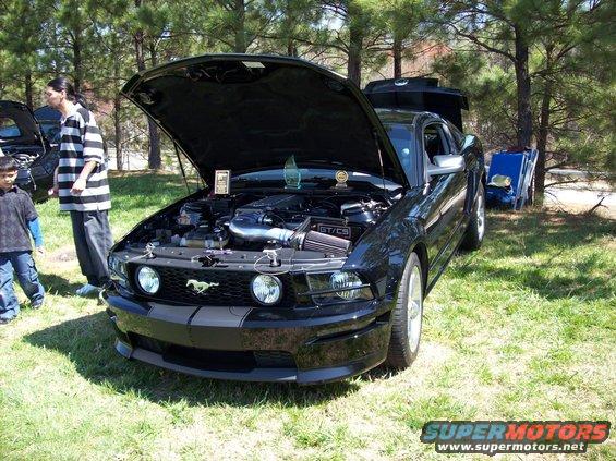 mustangsulimited-car-show-09-014.jpg 