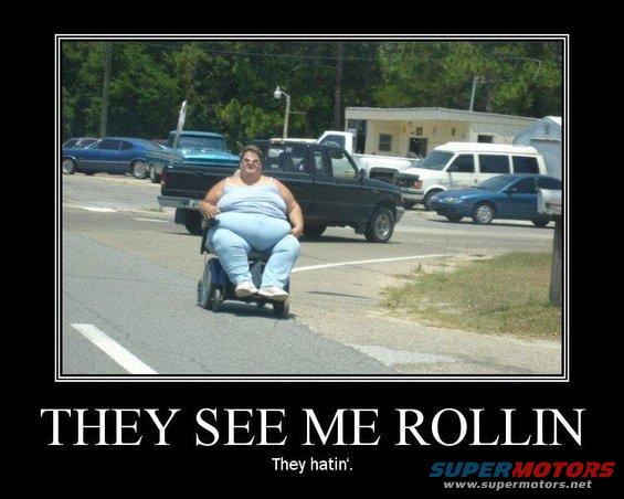 rollin.jpg They See Me Rollin'