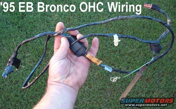 ohcwiring95.jpg SOLD Overhead Console Wiring from '95 EB
IF THE IMAGE IS TOO SMALL, click it.

Note R visor connector missing

http://www.supermotors.net/registry/628/75649-2