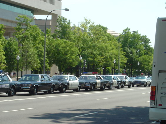 dsc03814.jpg 