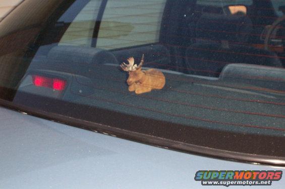 moosemobile.jpg My car mascot...