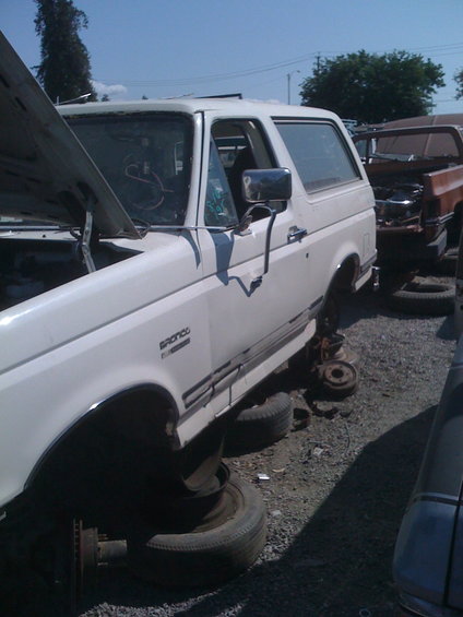 img_0023.jpg Here's our 1/2 late 80s bronco