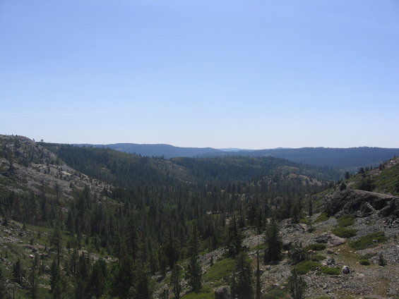 img_2549.jpg 