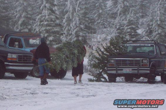 dcp_0201.jpg Getting some more Christmas trees.  If you look close you can see Kurt's chained up Bronco daily driver.  His dedicated 4 wheeling Bronco would have made it easily without chains.  I probably could have made it without chains as well but it was much easier with them.