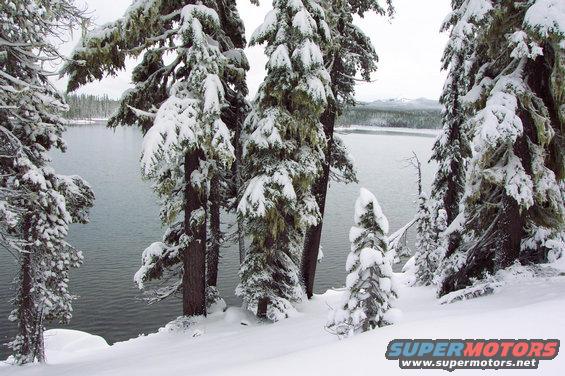 dcp_0098.jpg Summit Lake through snow covered trees with Cow Horn Mountain in the distance.  (day after Thanksgiving, 11/23/01)