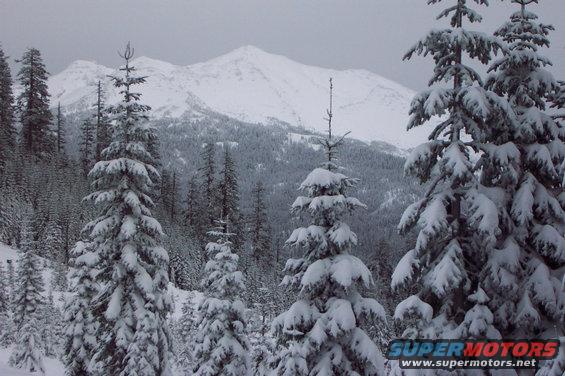 dcp_0100.jpg Diamond Peak, nearly 9000 ft (3x Zoom). View from Bear Mountain, 6100 ft, where the snow is 19 

inches deep but we plowed our way up the hills through the fresh cool white powder all the way up 

and over the top.  (day after Thanksgiving, 11/23/01)