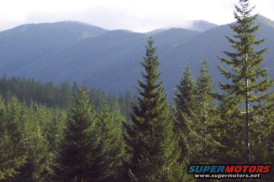 dcp_0005.jpg Overlooking Tillamook State Forest.