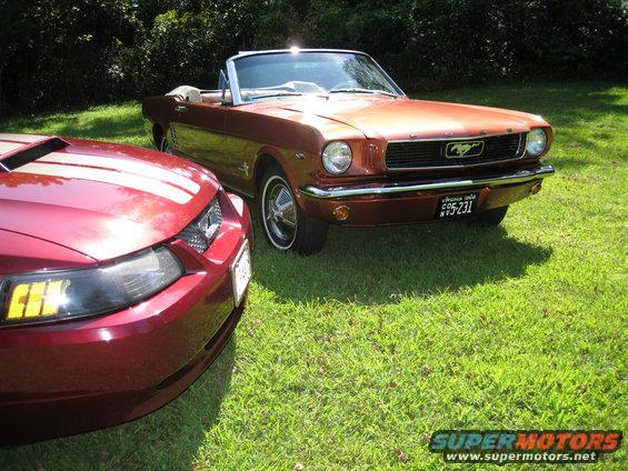 then--now-mustangs-2.jpg Then and Now ... 2004 and 1966.