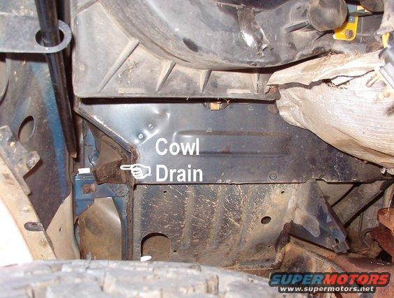 03cowldrain.jpg Looking rearward, the cowl drain can be inspected.  This & the one on the driver's side often hold rotting leaves which can rust the body & cause odors in the HVAC system.  This one was fairly clean because a squirrel had used it to get inside the blower for the winter, and I already fixed that mess.  I haven't checked the other side.

[url=http://www.supermotors.net/registry/media/901904][img]http://www.supermotors.net/getfile/901904/thumbnail/cowldrainpacked.jpg[/img][/url]

The silver insulation on the R side of the pic shields the evaporator box from the R exhaust manifold, and hides the heater core & condensate drain, which barely protrudes thru the firewall.  The drain drips onto the frame below, which is why the frame is rusty there.  The wetness on it right now is penetrating oil I sprayed on the exhaust flange.  I didn't fix it on this truck, but the evaporator insulation can be replaced with a more-robust modern material, like this:

[url=http://www.supermotors.net/registry/media/964781][img]http://www.supermotors.net/getfile/964781/thumbnail/evapins.jpg[/img][/url]

The yellow plate above the insulation is the blower resistor; notorious for setting leaves in the box on fire, and for defaulting to hi-speed only when its thermal fuse burns out.  The leaf fire can be prevented by 1) cleaning the cowl & its drains regularly, &/or 2) adding screen inside the cowl to keep the leaves from entering the blower intake, &/or 3) adding foam to seal the wiper valance ('87-96 only) so leaves can't enter the cowl.

[url=http://www.supermotors.net/registry/media/955476][img]http://www.supermotors.net/getfile/955476/thumbnail/22screeq.jpg[/img][/url] . [url=http://www.supermotors.net/registry/media/947911][img]http://www.supermotors.net/getfile/947911/thumbnail/22screen.jpg[/img][/url] . [url=http://www.supermotors.net/registry/media/947910][img]http://www.supermotors.net/getfile/947910/thumbnail/22screep.jpg[/img][/url] . [url=http://www.supermotors.net/registry/media/958829][img]http://www.supermotors.net/getfile/958829/thumbnail/22wipervalseal.jpg[/img][/url]

The black bar above the cowl drain is the lug wrench.  There should be a hard plastic (natural nylon) grommet in the mounting tab on the fender to prevent noise.  It can be replaced by slitting a small rubber vacuum hose to cover the metal edge.