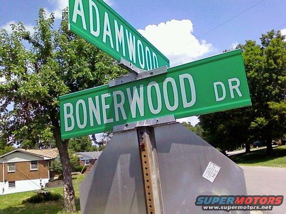 bonerwood.jpg 